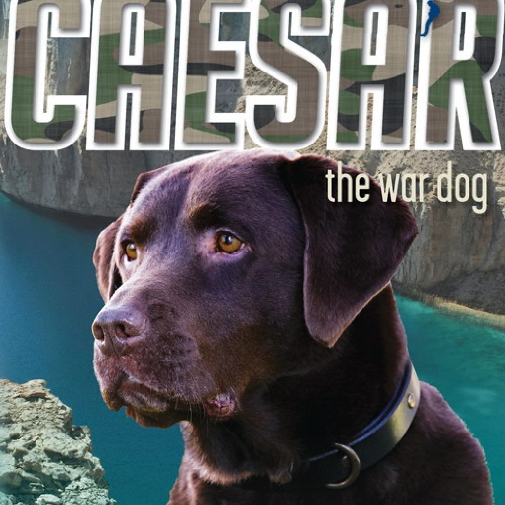 Book Cover: Caesar the War Dog 2: Operation Blue Dragon